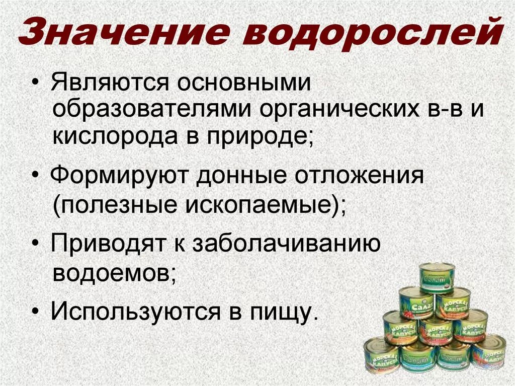 Сообщение о значении водорослей