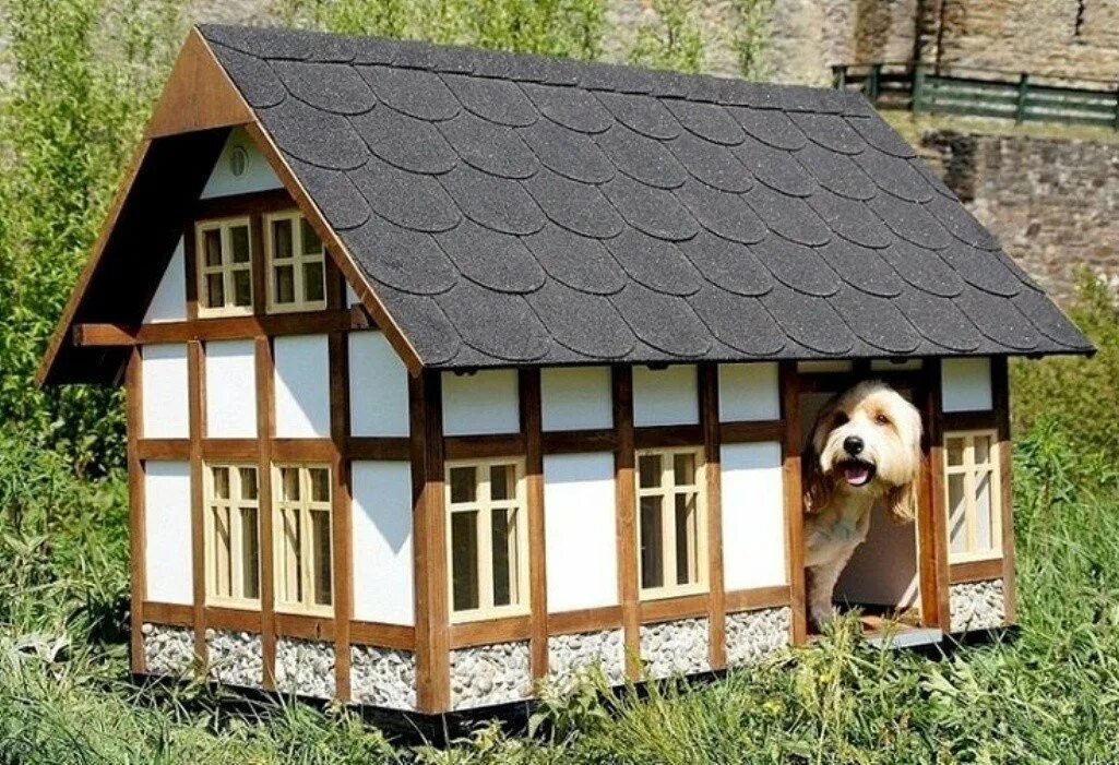 Включи дом собаки. Собачья конура будка. Оригинальные собачьи будки. Дом для собаки. Красивые домики для собак.