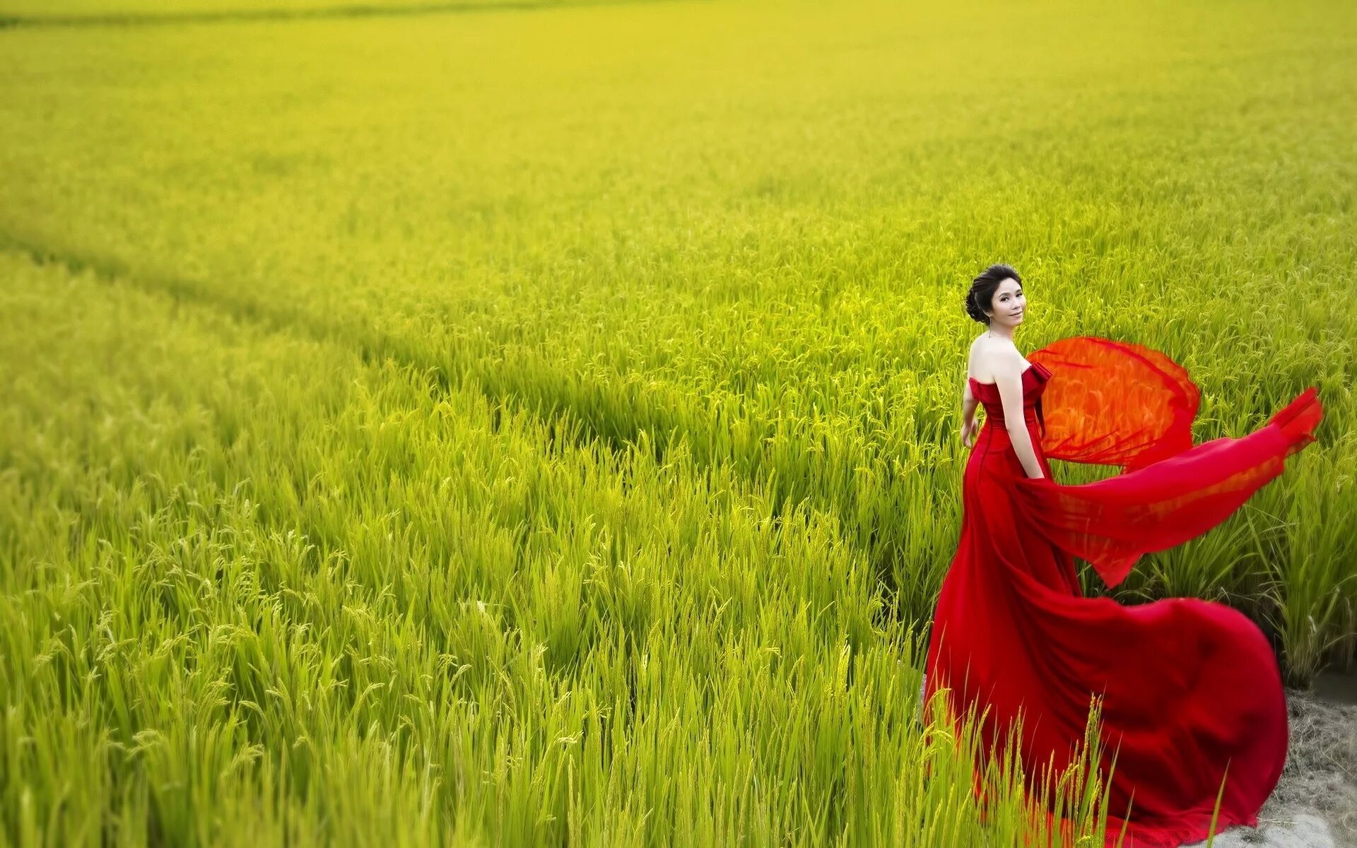Девушка в поле. Девушка в Красном платье в поле. Фотосессия в Красном платье в поле. Девушка в длинном платье.