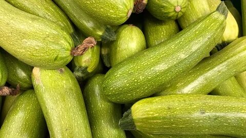 Можно ли есть горькие кабачки