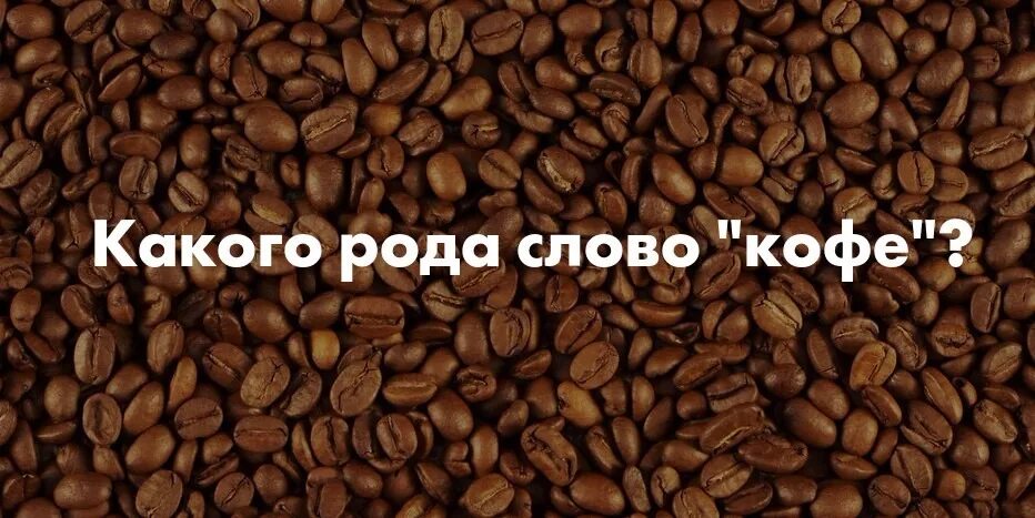Черный кофе какой род. Кофе (род). Кофе кофе какого рода. Какого рода слово кофе. Род кофе в русском языке.