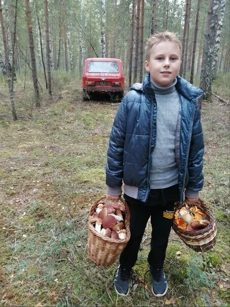 Грибы в брянске. Грибники ивановская область. Грибники ивановская область. Московская область грибы и ягоды. Грибники ивановская область.
