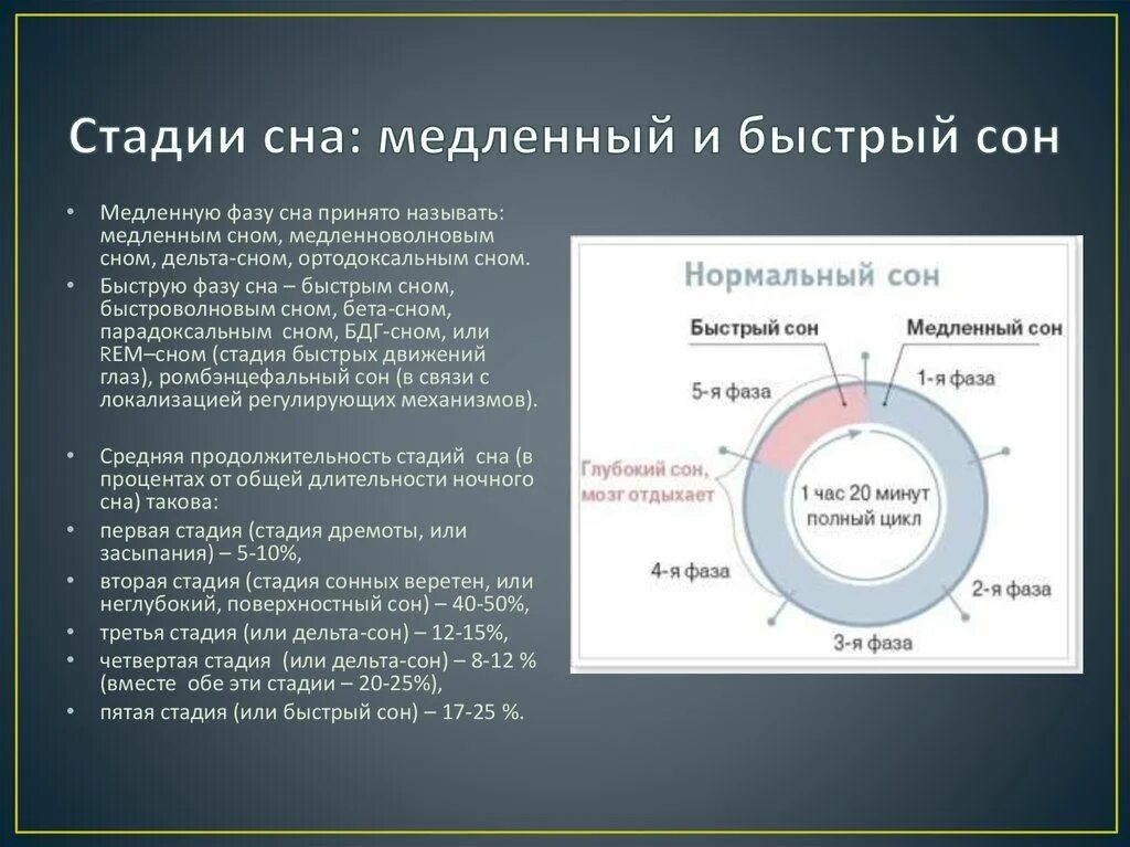 Какие явления наблюдаются в фазе. Фазы быстрого и медленного сна. Стадии сна медленный и быстрый. Медленная и быстрая фазы СН. Фазы сна быстрый и медленный сон.