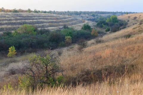Погода каиры херсонская