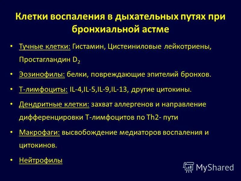 протокол приступа бронхиальной астмы. клинические синдромы при бронхиальной астме. при бронхиальной астме высокая. при бронхиальной астме высокая. симптомы и синдромы при бронхиальной астме.