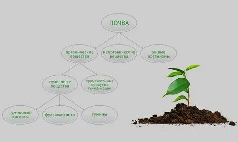 Органические кислоты почвы