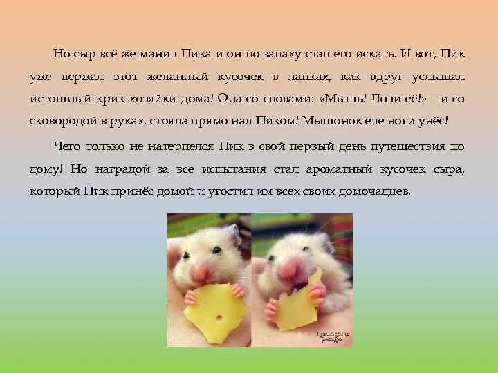 Характеристика мышонку пику. Бианки в. Мышонок пик характеристика. Бианки мышонок пик иллюстрации. Иллюстрации к рассказу бианки мышонок пик.