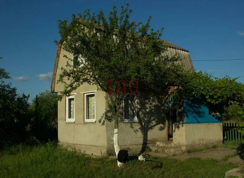 Авито курчатов работа вакансии. Дача курчатова. курчатов улица мира 17. г курчатов, пос. иванино. севастополь курчатова дачи.