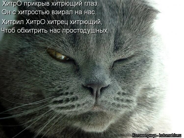Организация общее дело. Хитрая уловка буквы. Фишка слово. Организация общее дело. Хитрая уловка буквы.