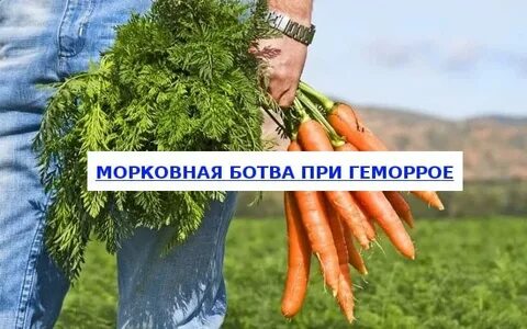 Свойства ботвы моркови