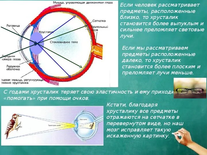 Работа по световым явлениям 8 класс. Конспект на тему световые явления. Световые явления в физике. Световые явления физика 8 класс. Презентация по физике световые явления 8 класс.