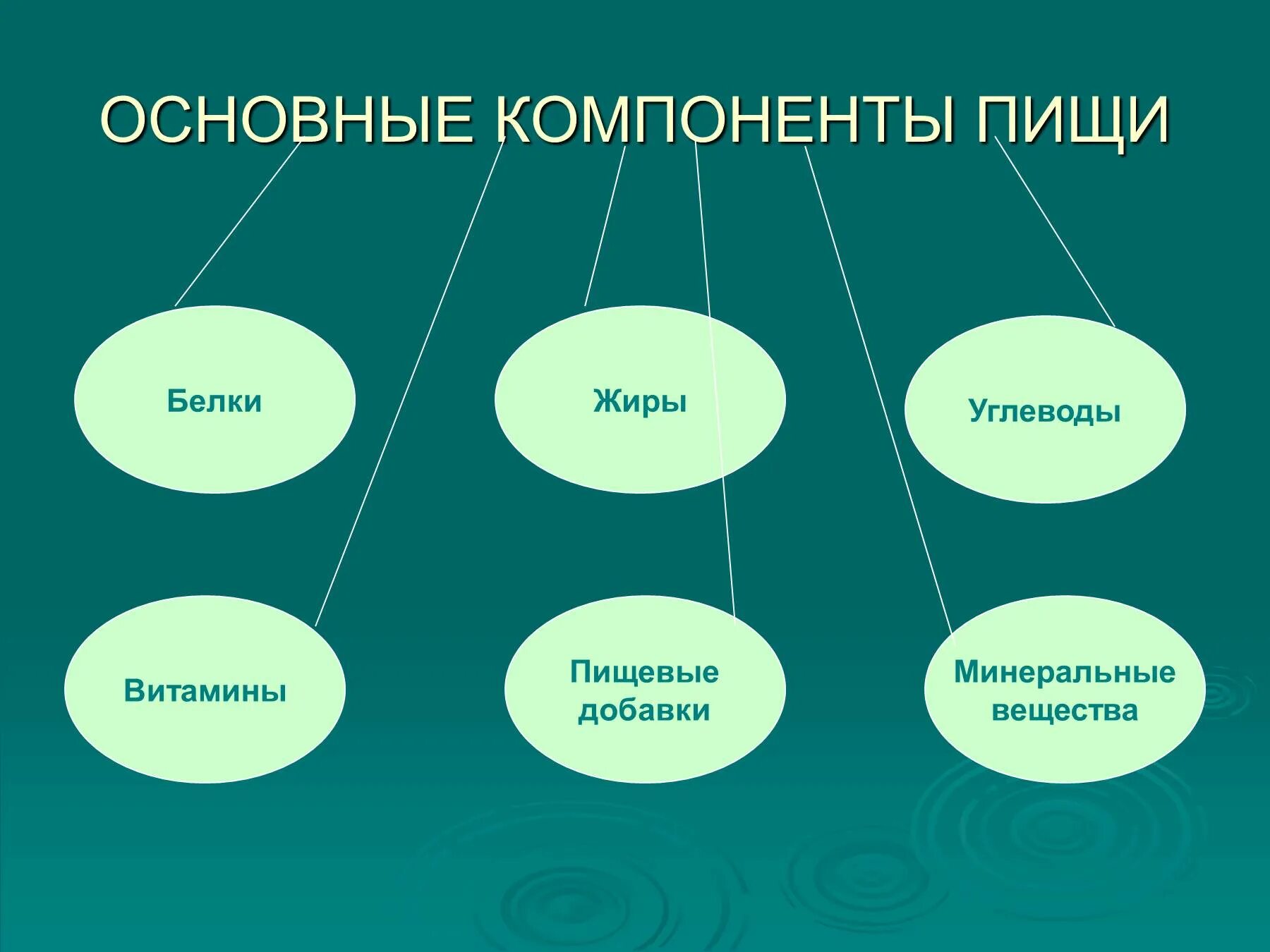 Какой компонент больше других используется человеком. Основные компоненты пищи. Основные компоненты пи. Основные компоненты пищи человека. Схема основных компонентов пищи.