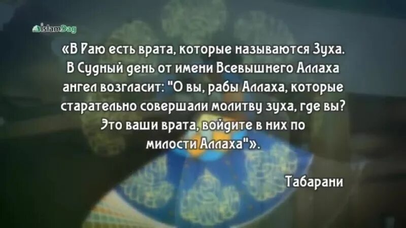 Молитва Зуха как совершать. Дуа Зуха намаза. Зуха намаз как делать. Как совершается Зуха намаз. Когда читать тахаджуд намаз