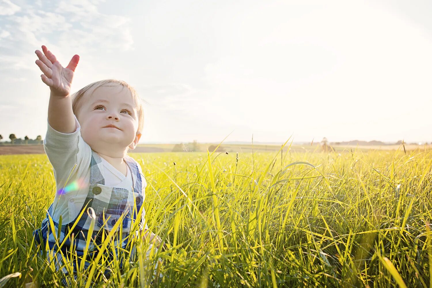 Дети и природа. Natural baby. Natural baby. Дети и природа. Бейби уиллоу.