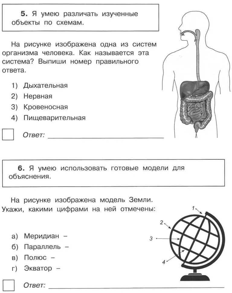 Вопросы по впр окружающий мир 4 класс. Впр по окружающему миру 4 класс. впр окружающий мир 4 класс волкова. впр по окр мир 4 класс волкова и цитович. ответы по впр 4 класс окружающий мир волкова цитович 10 вариантов.