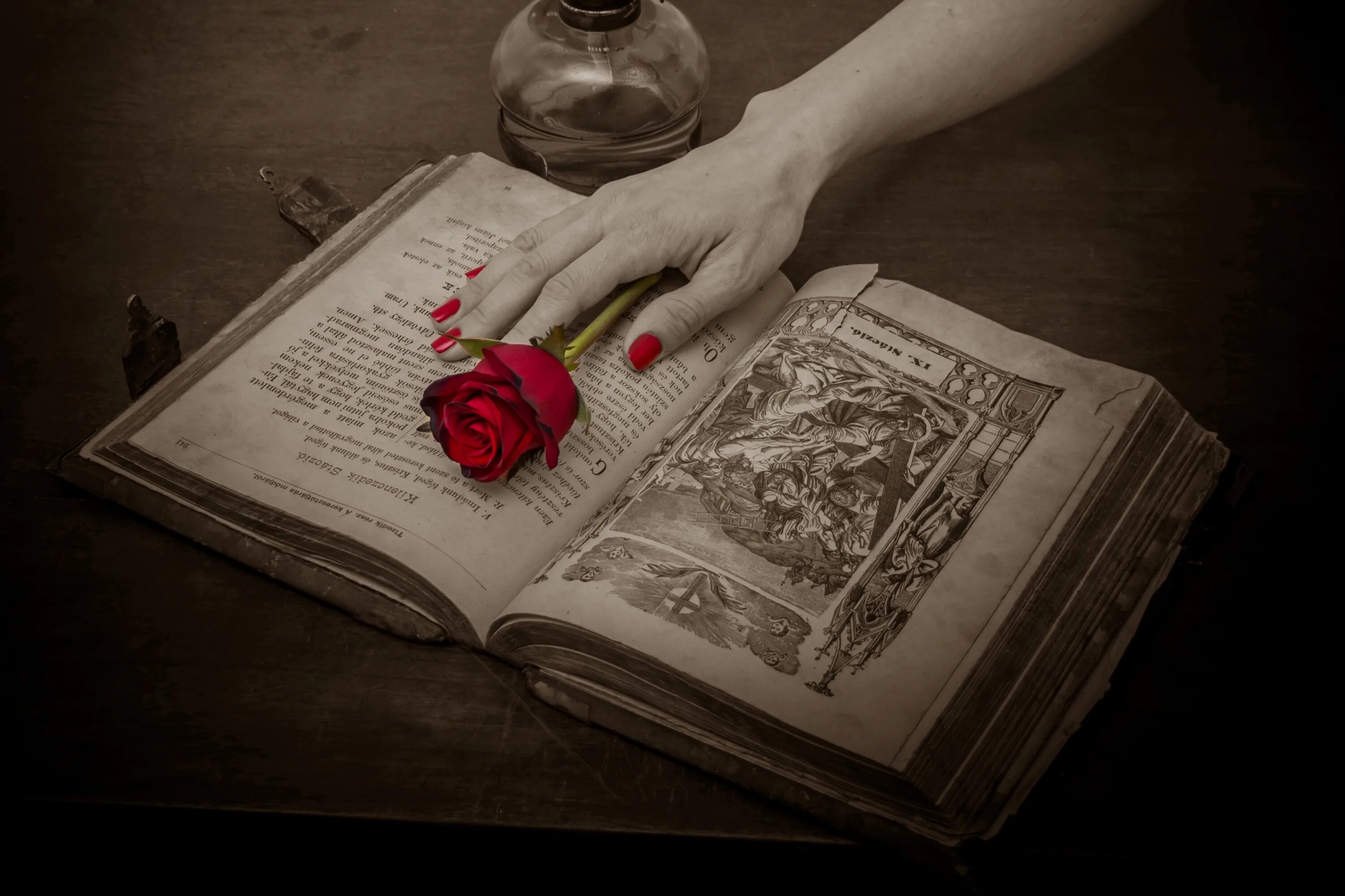 Раскрытая книга в руках. Старинные книги. Старые книги и цветы. Книга цветы.