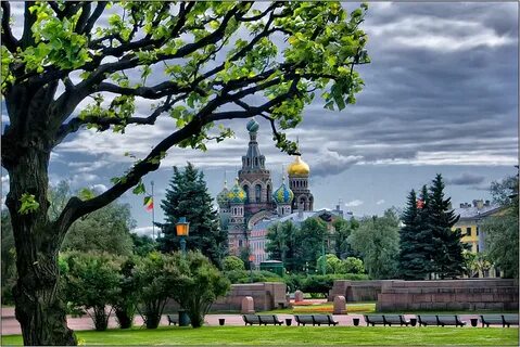 Спасенное поле