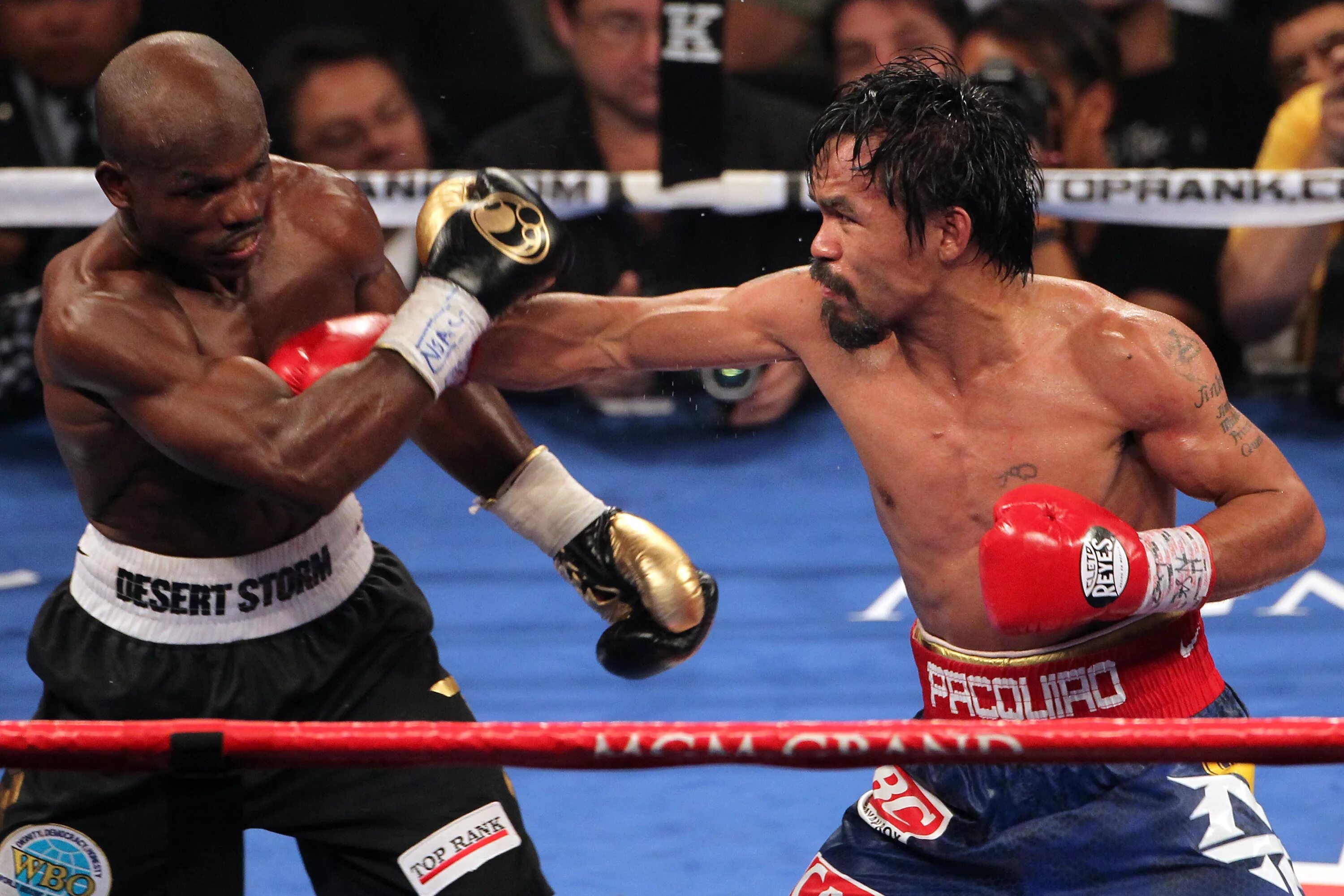 Manny Pacquiao vs Timothy Bradley. Тимоти Брэдли Пакьяо нокдаун. Легенды бокса. Проф бокс последние бои.