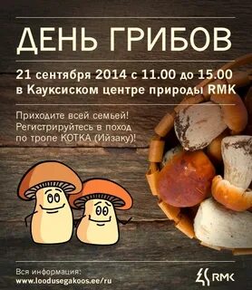 Грибной день