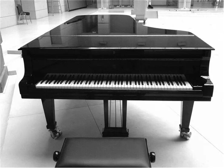 пианино т. клавесин струнный музыкальный инструмент. пианино музыкальный инструмент. спинет струнный музыкальный инструмент. рояль рига.