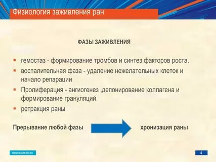 Фазы ран