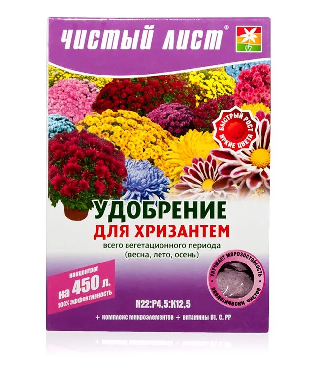 Чем подкормить хризантемы перед цветением. Удобрение для хризантем комнатных. Подкормка хризантем. Хризантема мультифлора посадка. Чем подкормить хризантемы перед цветением.