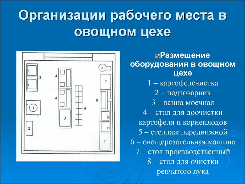 Организация рабочего питания. Схема организации овощного цеха. Организация рабочего места в овощном цехе схема. Схема овощного цеха в кафе. Размещение оборудования в овощном цехе.