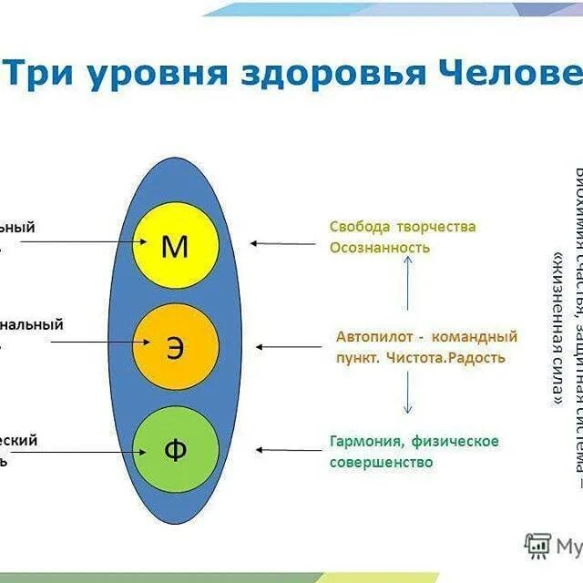 Level health. Три уровня здоровья человека. Уровни здоровья. Уровни состояния здоровья. Три уровня физический , эмоциональный и Ментальный.