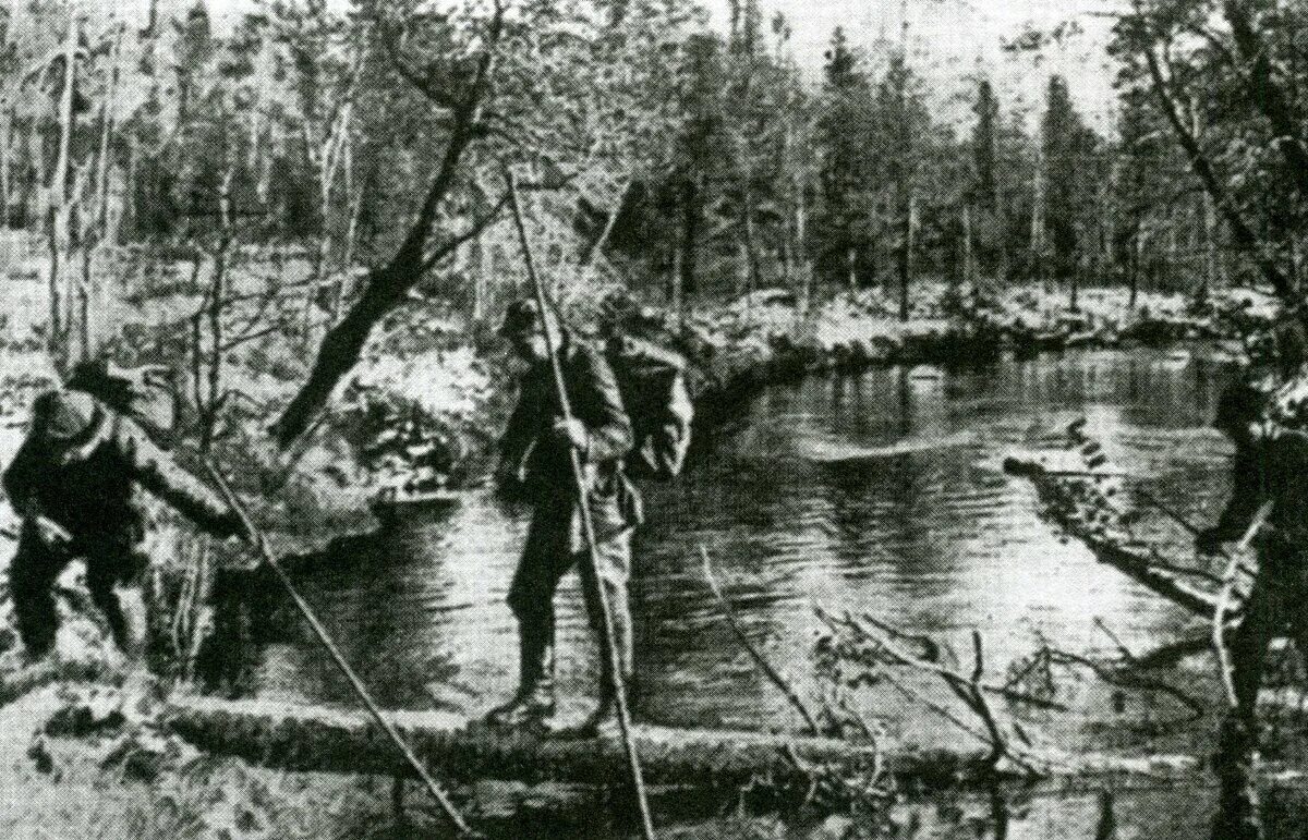 Партизанские отряды в Карелии 1941. Партизанские отряды Мурманск. Партизанский отряд Сталинец. Партизанские движения в Заполярье в годы Великой Отечественной войны.