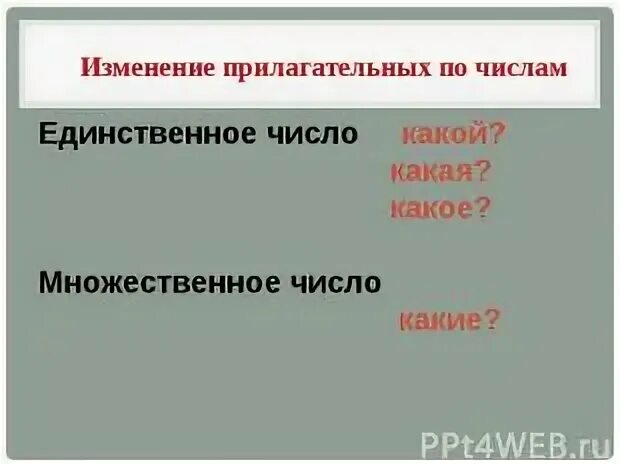 Прилагательное изменяется по числам. Прилагательное изменяется по лицам. Склонение имён прилагательных 4 класс. Тёплый ковёр изменение в прилагательных.