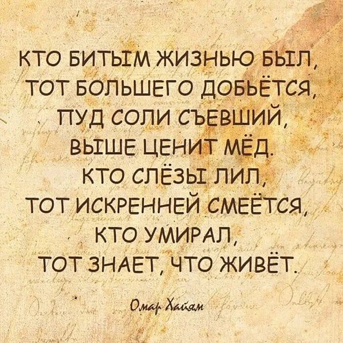 Кто битым жизнью был. Кто жизнью битым был тот большего кто. Пуд соли сьевший выше ценит мёд. Кто битый был тот большего добьется.