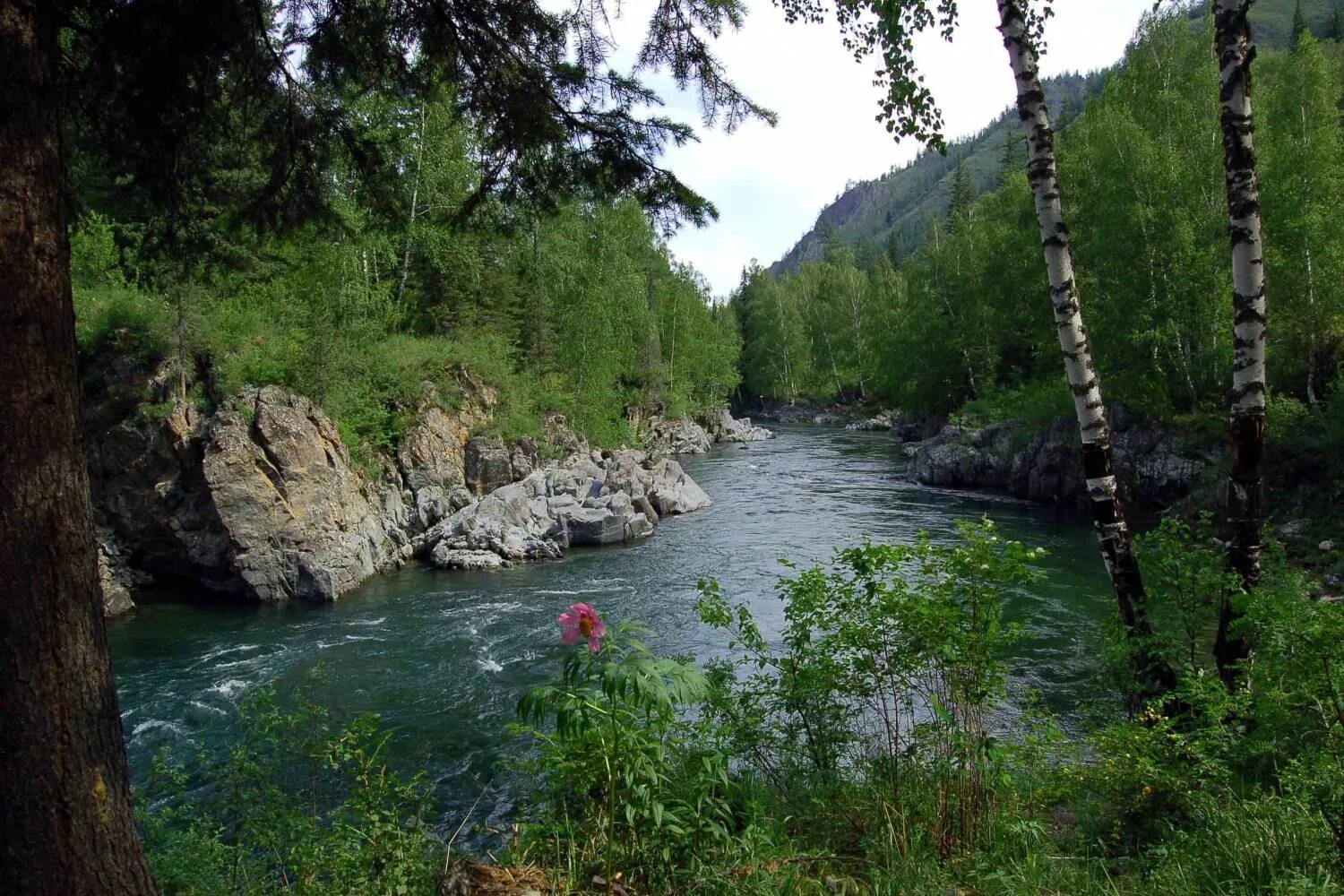 девичьи плесы на реке кумир. усть кан девичьи плесы. девичьи плесы горный алтай. девичьи плесы горный алтай. река кумир горный алтай девичьи плесы.