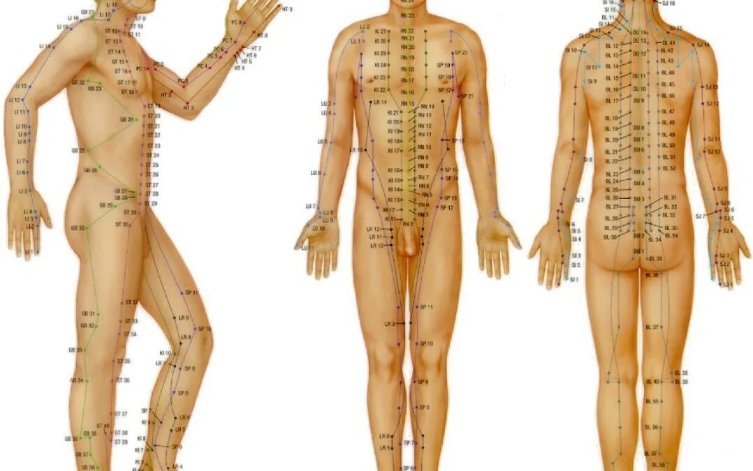 Каналы китайской медицины. Энергетические меридианы человека китайская медицина. Акупунктура меридианы китайская медицина. Китайская акупунктура и меридианы тела. Меридианы и каналы тела человека в китайской медицине.
