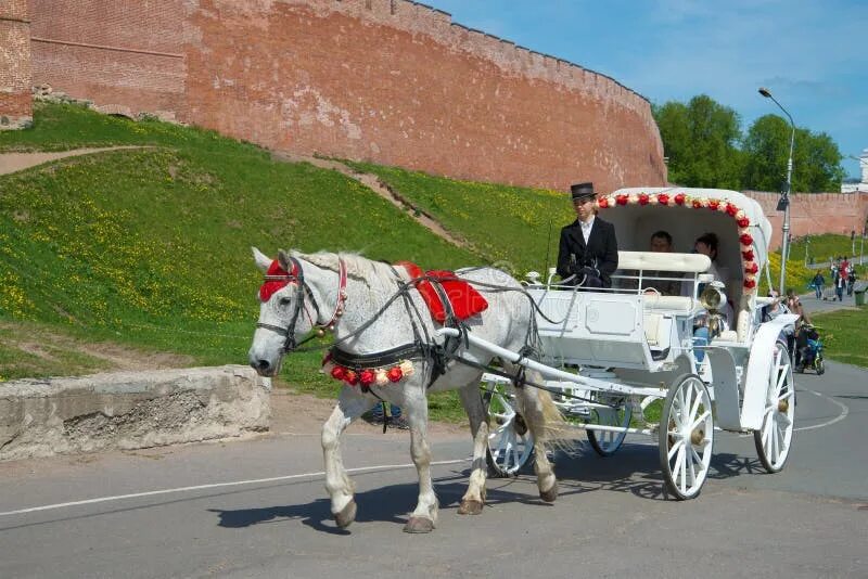 Конь великий новгород. Конный клуб гардарика великий новгород. Кск гардарика великий новгород. Конный клуб гардарика великий новгород. Лошади великий новгород.