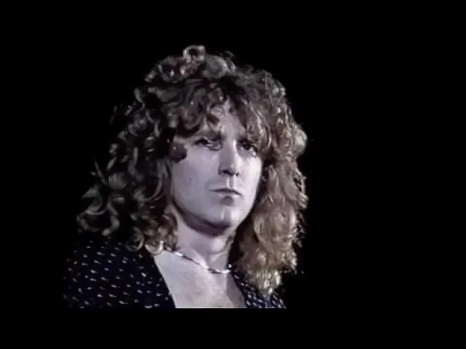 Лед зеппелин блэк. Лед зеппелин блэк