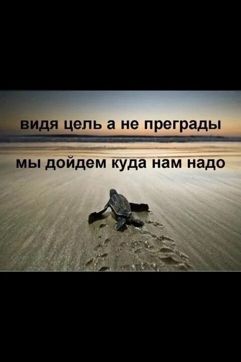 Тот кто ничем не владеет. Тот кто ничем не владеет