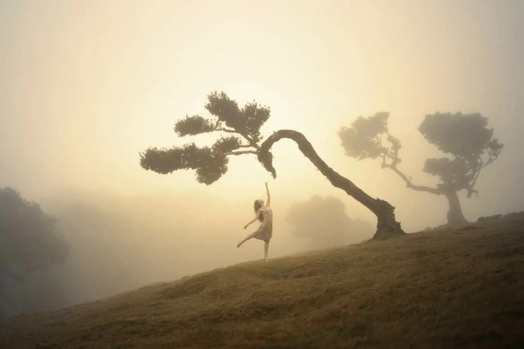 Созерцать жизнь. Elizabeth Gadd. Фотографии Элизабет Гэдд. Чувство смирения.