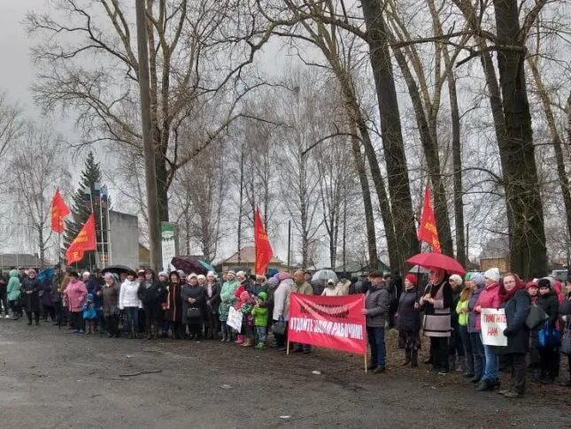 Прогноз погоды зональном алтайском крае. Октябрьский зональный район Алтайский край. Сайт школы Зональное зональный район Алтайский край. Соколово зональный район. Зональный район село Соколово школа.