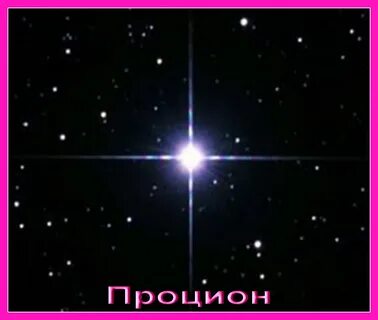 Процион звезда