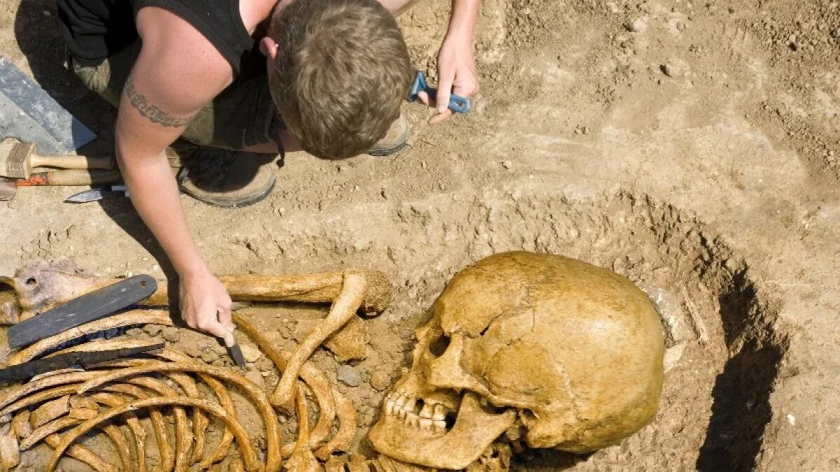 3 тысячи лет жила. Великаны люди скелеты исполины. Исполины нефилимы скелеты.