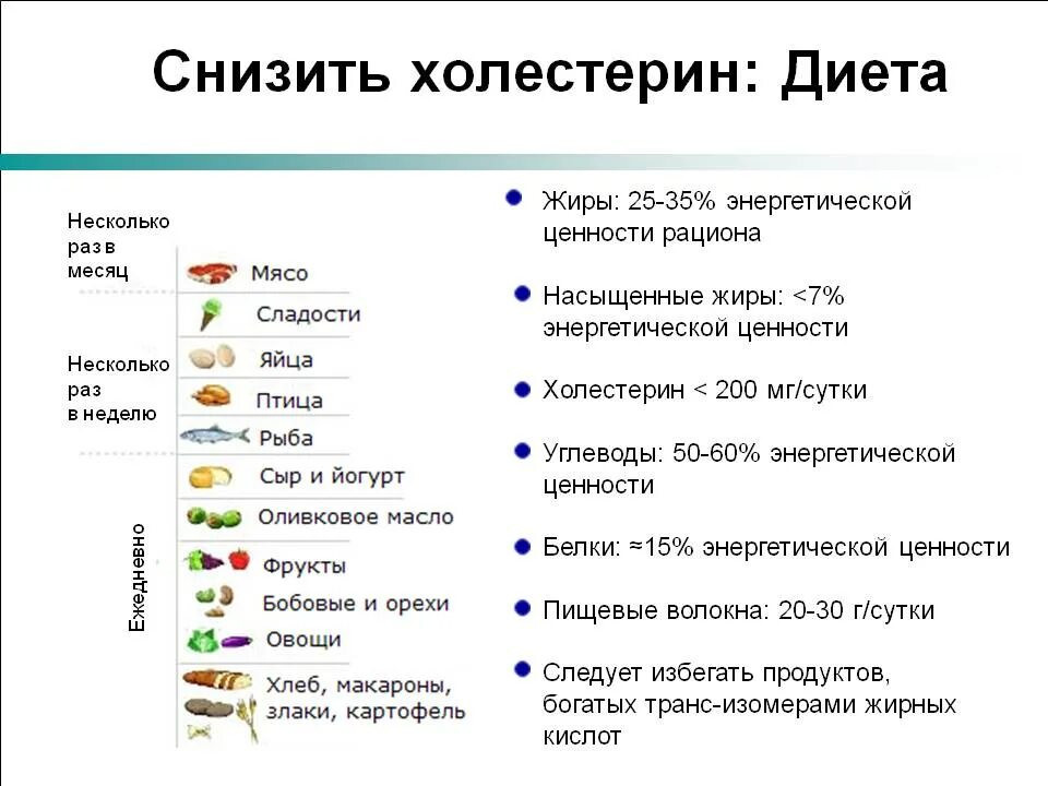 Диета холестерин в крови у женщин