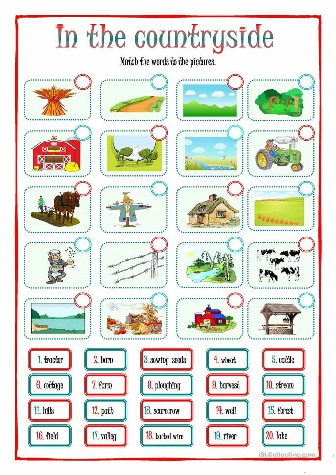 In the countryside worksheets for kids. Country side перевод. Countryside worksheet. Country side перевод. Country side перевод.