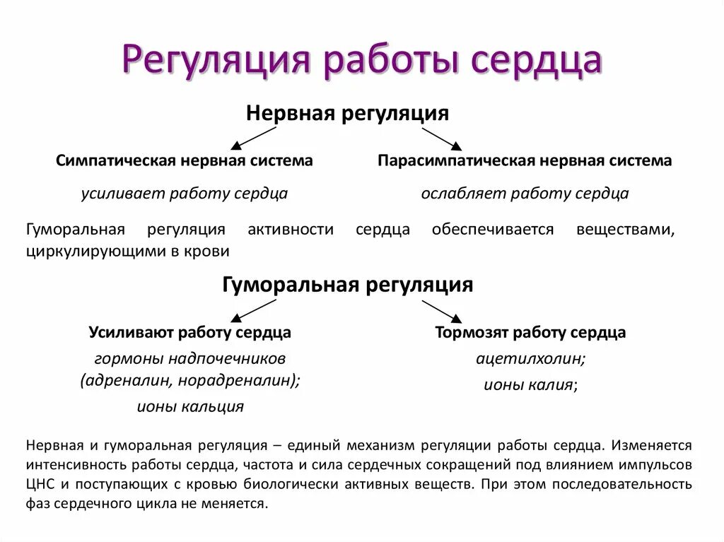 Гуморальная регуляция работы сердца осуществляется. Нервная и гуморальная регуляция деятельности сердца таблица. Нервная и гуморальная регуляция деятельности сердца и сосудов. Схема нервно гуморальная регуляция работы сердца. Нервные механизмы регуляции сердечной деятельности.