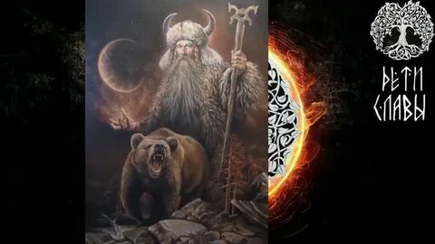 Какая велесе