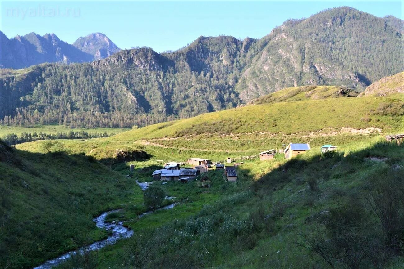 Село Бийка Республика Алтай. Река Бийка горный Алтай. Алтай база Бийка. Река Бийка Чемальский район. Погода в бийка