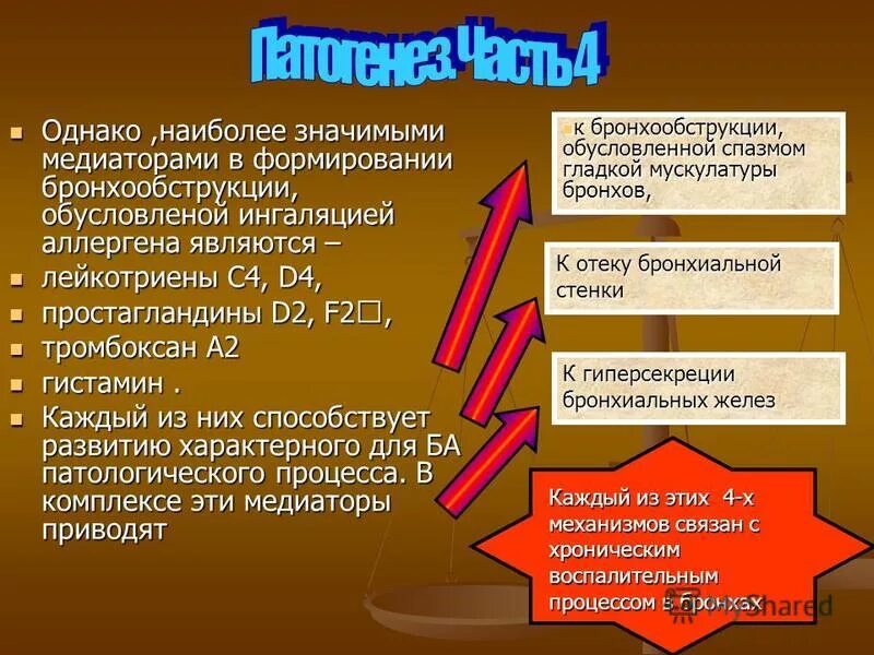 Наиболее распространенные аллергены. Самая распространенная пищевая аллергия. Наиболее значимыми аллергенами являются. Поллиноз является примером аллергической реакции:. Наиболее значимыми аллергенами являются.