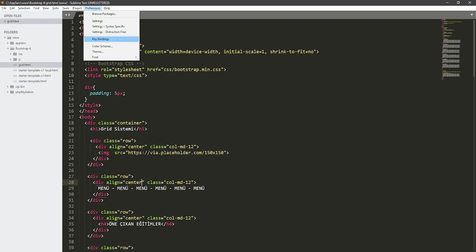 Скрытый текст https. Код Sublime text. Sublime text html CSS коды. Sublime text ключ. Написание программы в Sublime text.