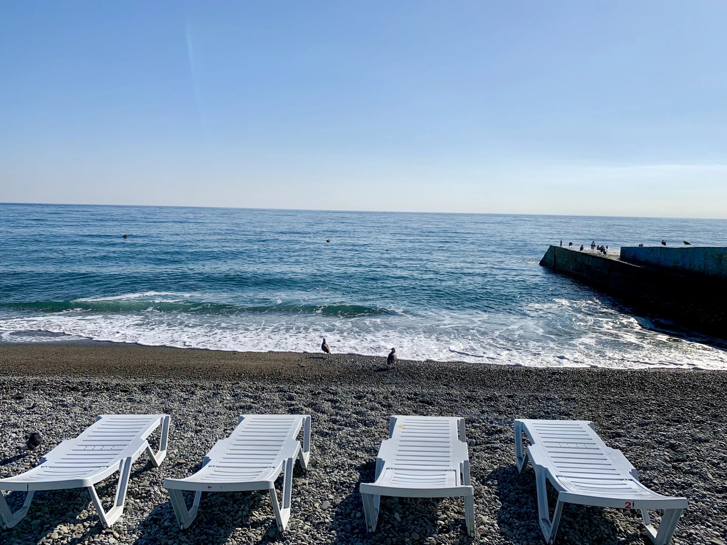 русалма 3 алушта. алушта центральный пляж 2023. семидворье-канака. усадьба приморский парк алушта. алушта).