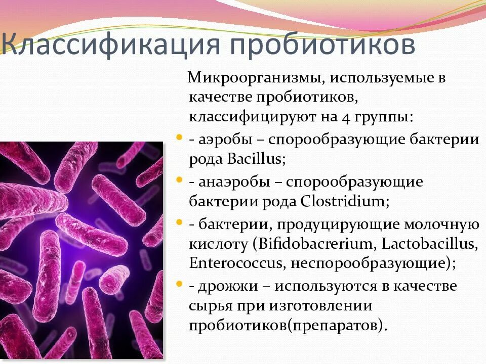 Пробиотики микробиология. Классификация пробиотиков. Бактерий пробиотиков. Микроорганизмы для пробиотиков.