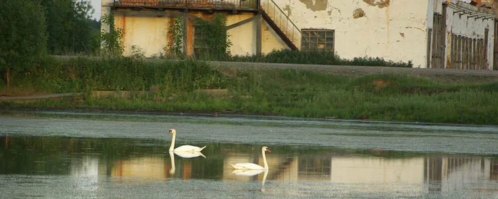 Средняя школа деревня шарипово 4 б. Танрыкулово курганская область. Село шарипово. Средняя школа деревня шарипово 4 б. Погода в шарипово курганская область.